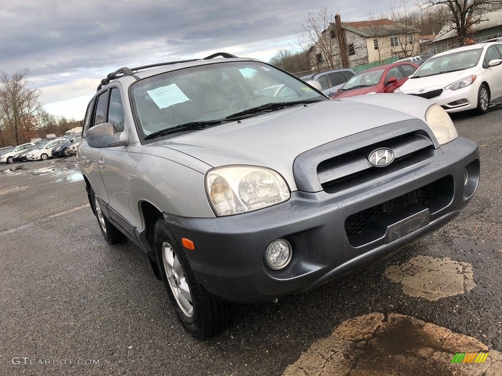 2006 Santa Fe GLS 4WD - Pewter / Gray photo #11