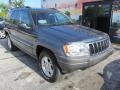 Steel Blue Pearlcoat - Grand Cherokee Laredo Photo No. 3