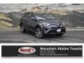 2018 Magnetic Gray Metallic Toyota RAV4 XLE AWD  photo #1