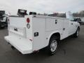 Bright White - 2500 Tradesman Regular Cab Chassis Photo No. 5
