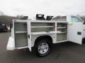 Bright White - 2500 Tradesman Regular Cab Chassis Photo No. 10