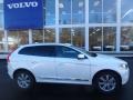 Ice White - XC60 T5 AWD Inscription Photo No. 2