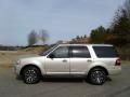 2017 White Gold Ford Expedition XLT 4x4  photo #1