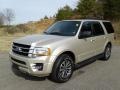 2017 White Gold Ford Expedition XLT 4x4  photo #2