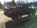 Brilliant Black Crystal Pearl - Dakota ST Quad Cab Photo No. 4