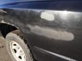 Brilliant Black Crystal Pearl - Dakota ST Quad Cab Photo No. 26