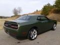 F8 Green - Challenger SXT Photo No. 6