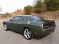 F8 Green - Challenger SXT Photo No. 8