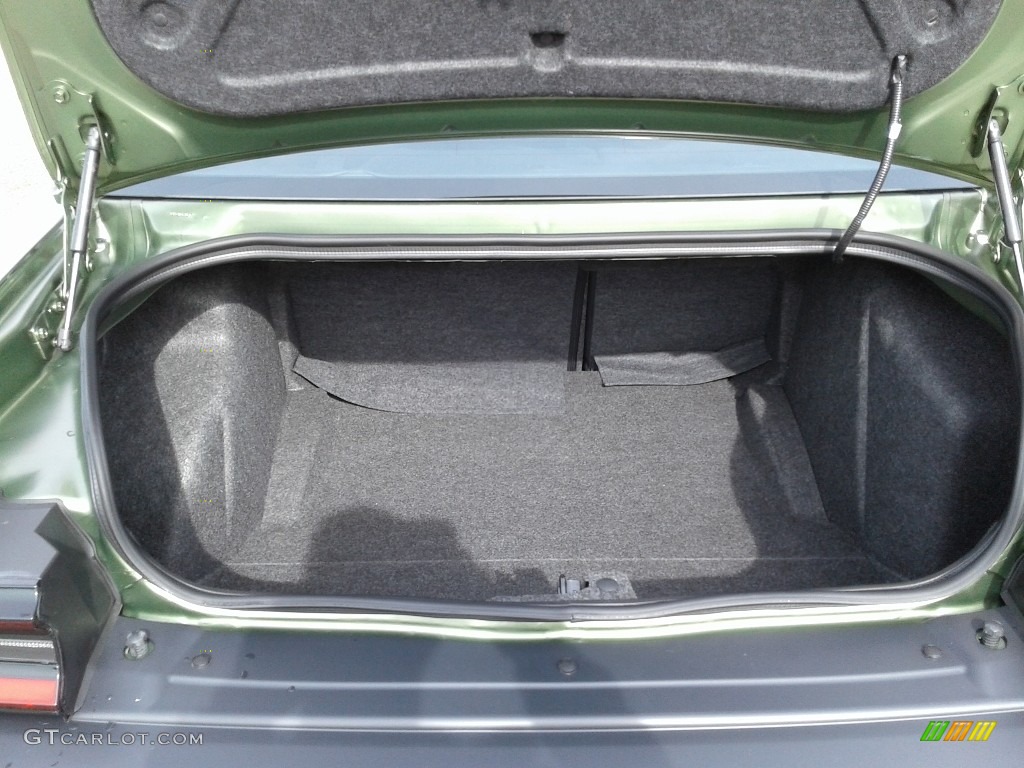2018 Challenger SXT - F8 Green / Black photo #12
