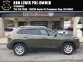 ECO Green Pearl 2015 Jeep Cherokee Latitude 4x4