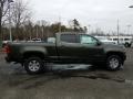 Deepwood Green Metallic - Colorado WT Crew Cab 4x4 Photo No. 6