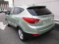 Kiwi Green - Tucson Limited AWD Photo No. 3