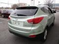 Kiwi Green - Tucson Limited AWD Photo No. 5