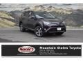 2018 Black Current Metallic Toyota RAV4 XLE AWD  photo #1