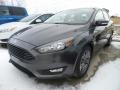 Magnetic - Focus SE Sedan Photo No. 1