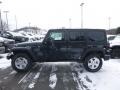 Rhino - Wrangler Unlimited Sport 4x4 Photo No. 2