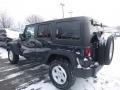 Rhino - Wrangler Unlimited Sport 4x4 Photo No. 3