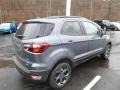 Smoke - EcoSport SES 4WD Photo No. 2