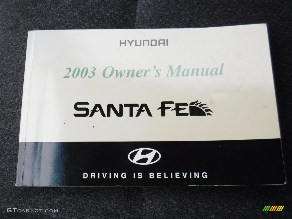 2003 Santa Fe GLS 4WD - Arctic Blue / Gray photo #17