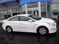 Porcelain White Pearl - Sonata Hybrid Photo No. 2