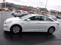 Porcelain White Pearl - Sonata Hybrid Photo No. 6