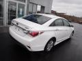 Porcelain White Pearl - Sonata Hybrid Photo No. 10