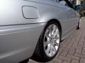 2005 Titanium Silver Metallic BMW 3 Series 330i Convertible  photo #21