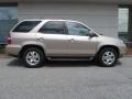 Mesa Beige Metallic - MDX  Photo No. 2