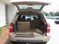 Mesa Beige Metallic - MDX  Photo No. 5