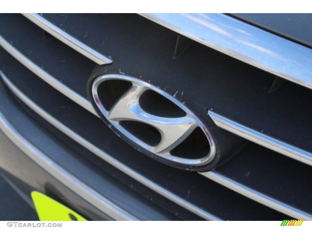 2009 Sonata Limited - Willow Gray / Gray photo #4