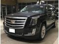 Black Raven - Escalade ESV Luxury 4WD Photo No. 1