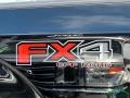 2018 Shadow Black Ford F150 Platinum SuperCrew 4x4  photo #38