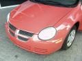 2004 Flame Red Dodge Neon SE  photo #21