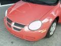 2004 Flame Red Dodge Neon SE  photo #44