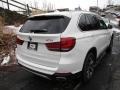 Alpine White - X5 xDrive35i Photo No. 3