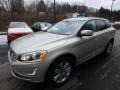 Luminous Sand Metallic - XC60 T5 AWD Inscription Photo No. 7