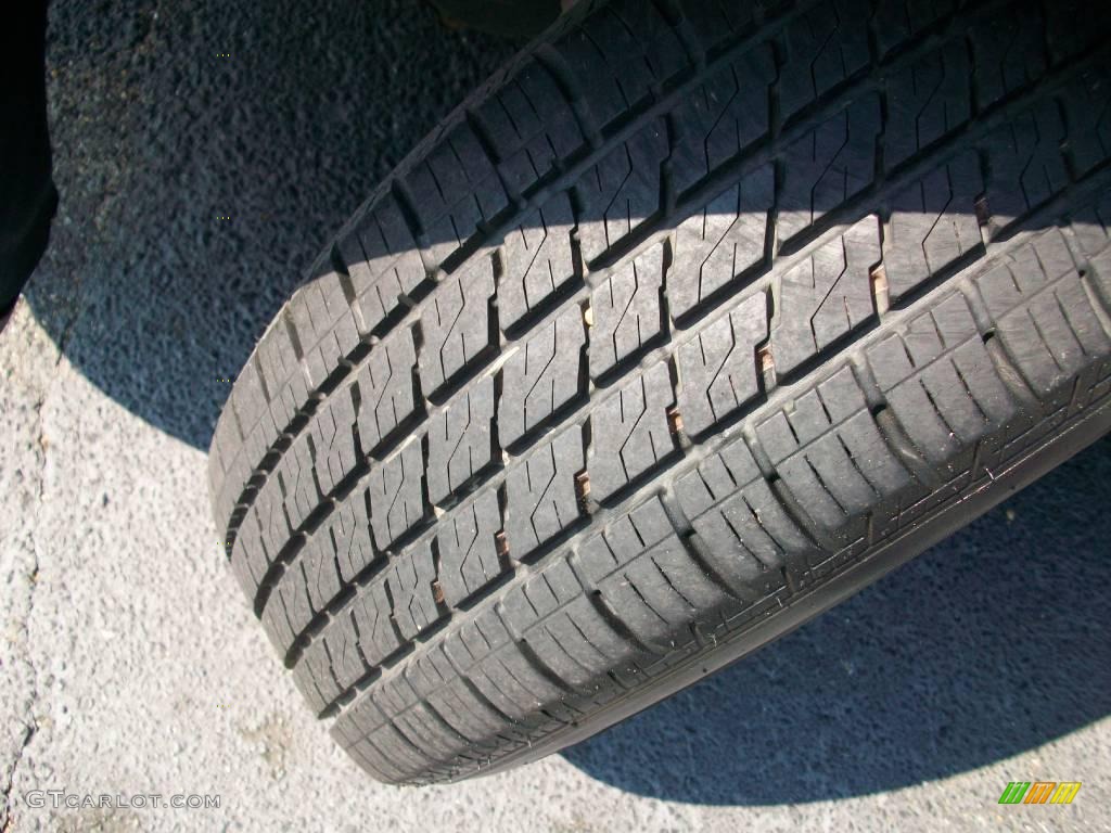 2006 Caravan SXT - Bright Silver Metallic / Medium Slate Gray photo #20