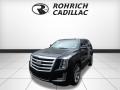 Black Raven 2016 Cadillac Escalade Luxury 4WD