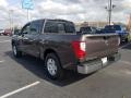Java Metallic - Titan SV Crew Cab Photo No. 3