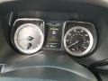 Java Metallic - Titan SV Crew Cab Photo No. 14