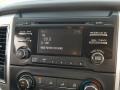 Java Metallic - Titan SV Crew Cab Photo No. 15