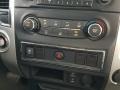 Java Metallic - Titan SV Crew Cab Photo No. 16