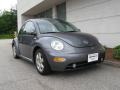Platinum Grey Metallic 2002 Volkswagen New Beetle GLS 1.8T Coupe