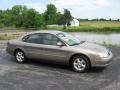 Arizona Beige Metallic - Taurus SES Photo No. 1