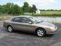 2003 Arizona Beige Metallic Ford Taurus SES  photo #1