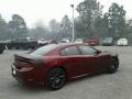 Octane Red Pearl - Charger Daytona Photo No. 5