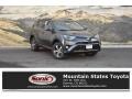 2018 Magnetic Gray Metallic Toyota RAV4 XLE  photo #1