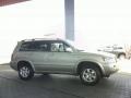 2002 Millennium Silver Metallic Toyota Highlander Limited 4WD  photo #4