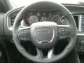 Go Mango - Charger SXT Plus Photo No. 14
