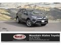 2018 Magnetic Gray Metallic Toyota RAV4 Limited AWD Hybrid  photo #1